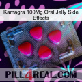 Kamagra 100Mg Oral Jelly Side Effects 13